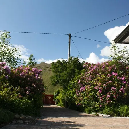 343 - Leenane לינאן